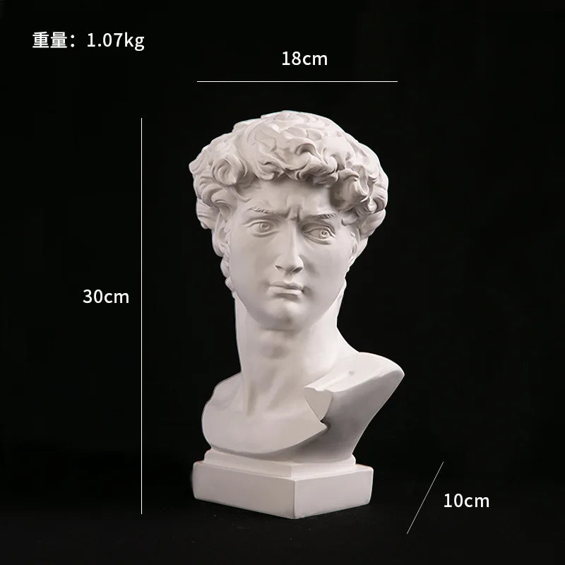 EZPZ European Home Decoration David Head ResinStatues Statues Home Decor  Modern Abstract Art  Bust Sculpture Art Sketch Practice
